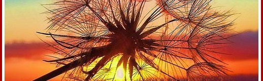 Manifest For Life: Lets Meditate – Be In The Now