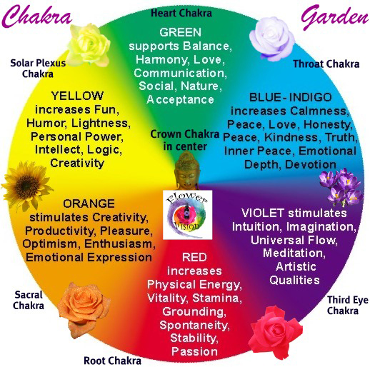 chakra-garden2