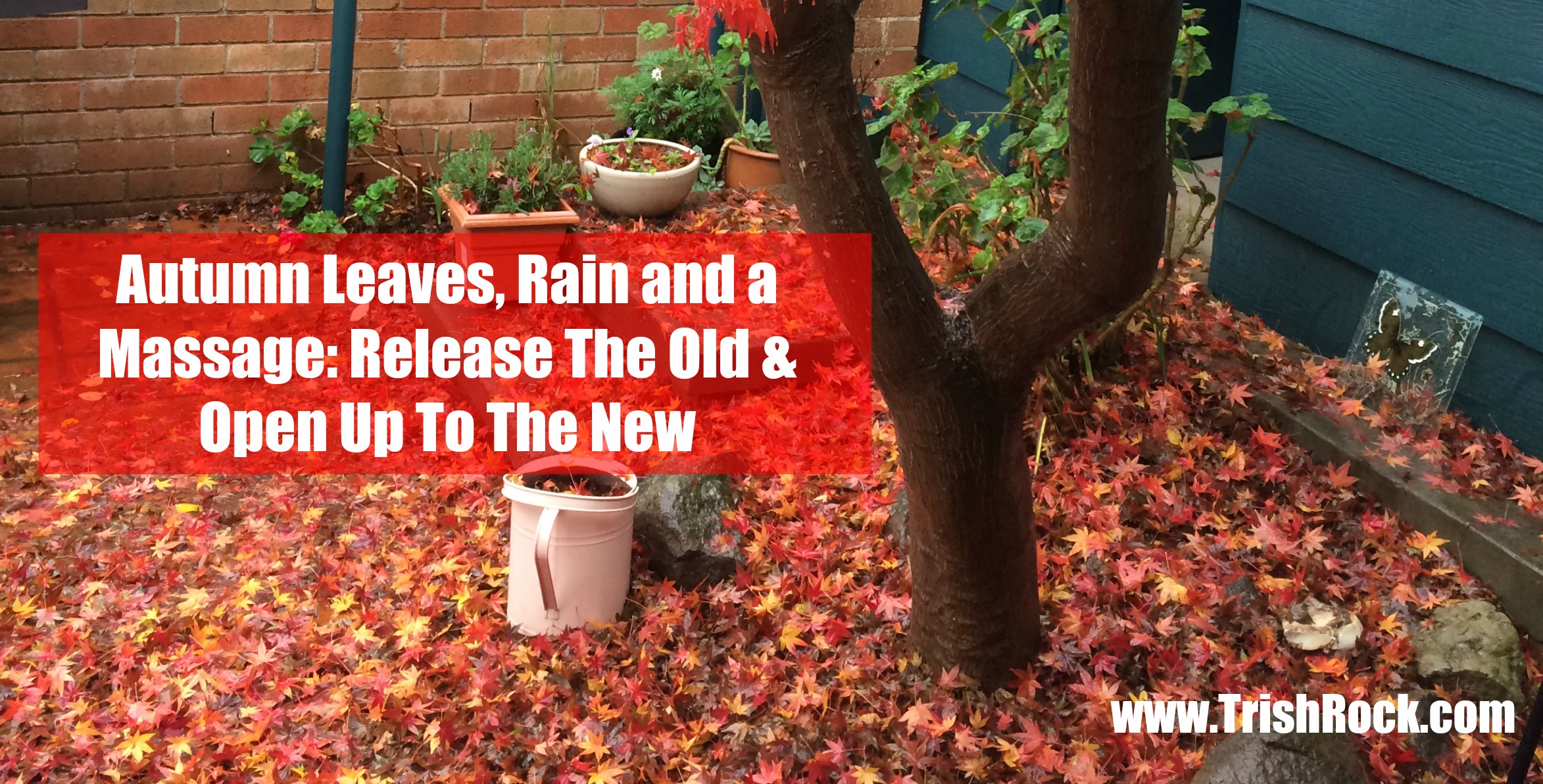 Autumn Leaves, Rain and a Massage…