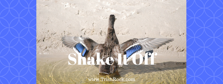 Shake It Off