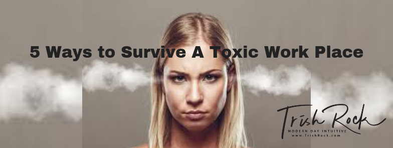 5 Ways to Survive A Toxic Work Place