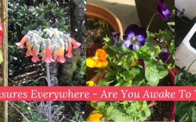 Hidden Treasures Everywhere – Are You Awake To Them?