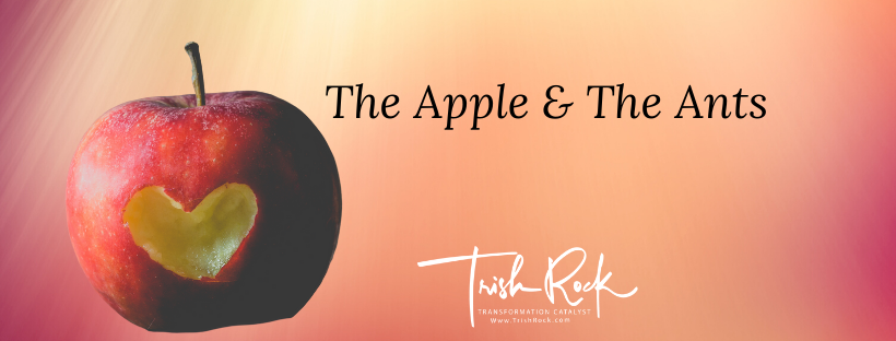 The Apple & The Ants